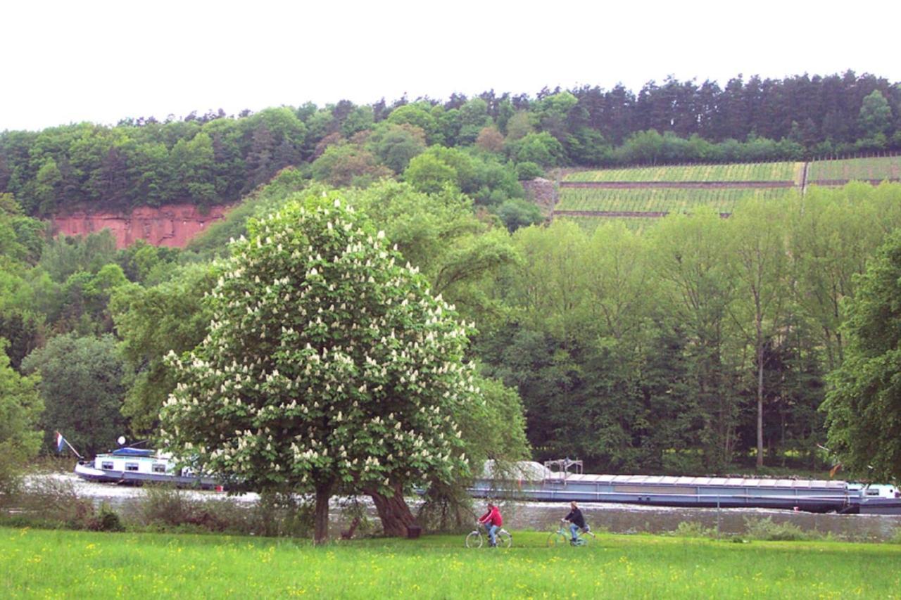 Ferienwohnung Auf Schaefers Spuren 伯格斯塔特 外观 照片